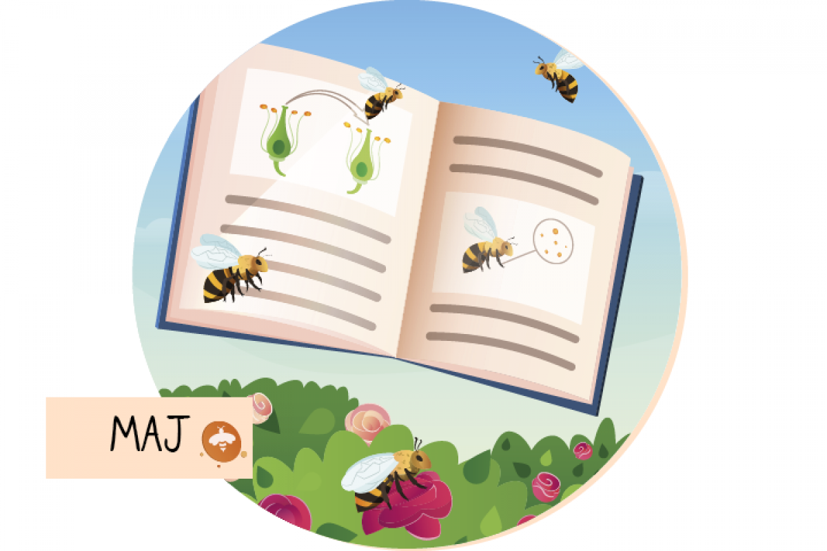 Maj: Svetovni dan čebel