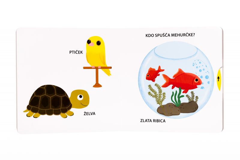 Moji hišni ljubljenčki