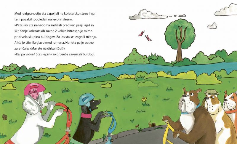 S kolesom po Sloveniji